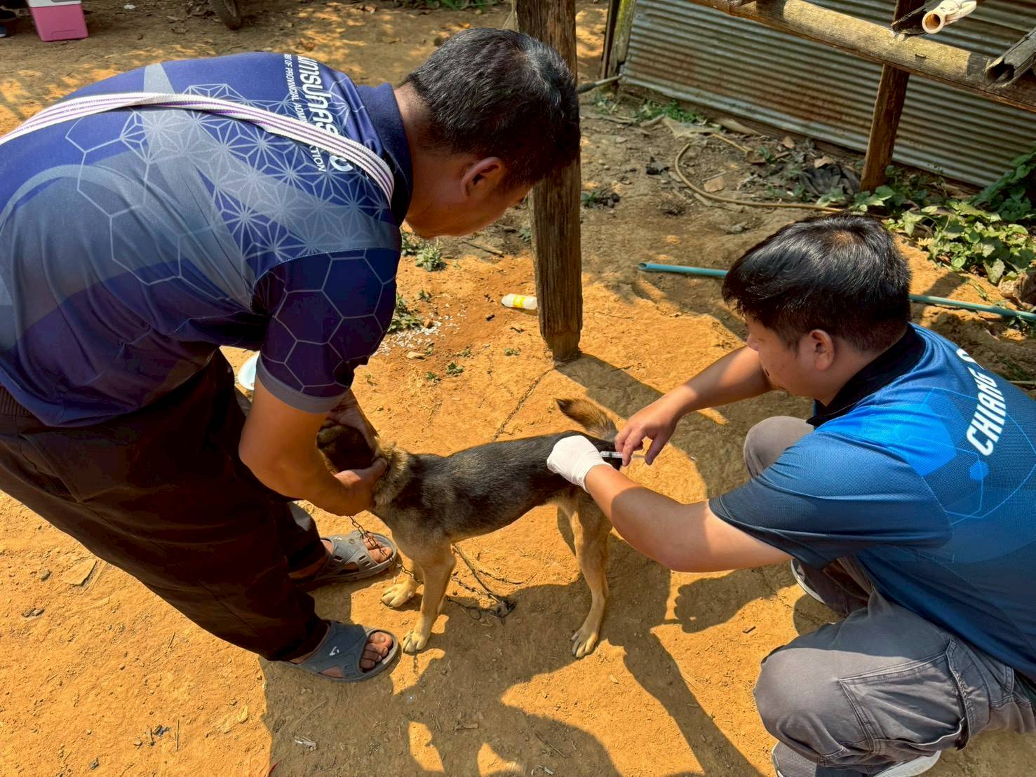 โครงการสัตว์ปลอดโรคคนปลอดภัยจากโรคพิษสุนัขบ้า ประจำปีงบประมาณ พ.ศ.2569