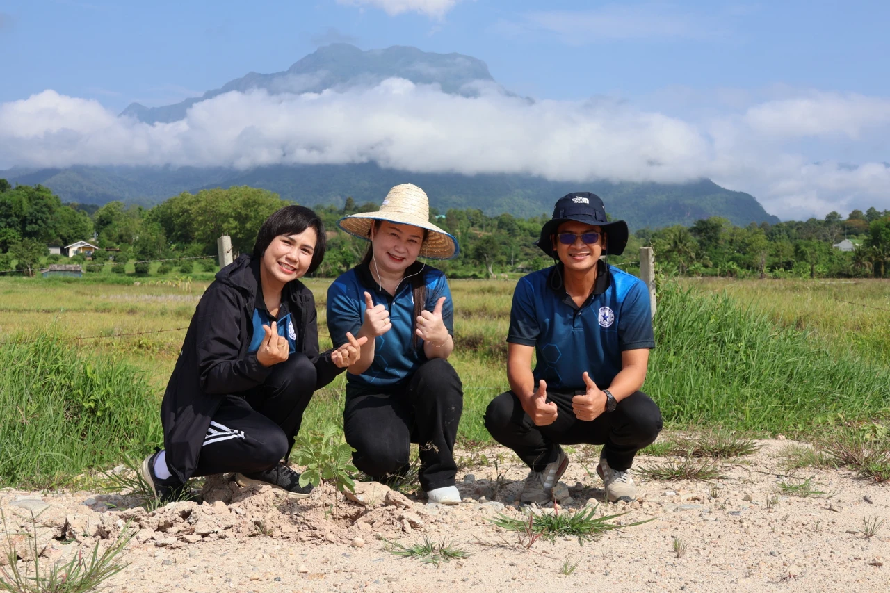 catalogs_file_240_31_6_27341.webp